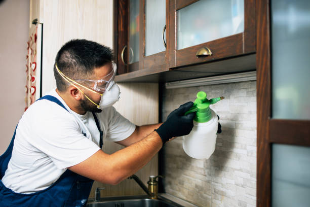 Best Pest Prevention Services  in Hacienda Heights, CA