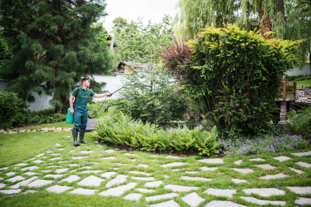 Best Emergency Pest Control  in Hacienda Heights, CA