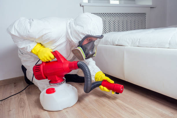 Best Termite Control Services  in Hacienda Heights, CA