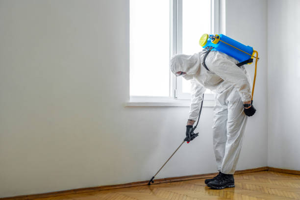 Pest Control Cost in Hacienda Heights, CA