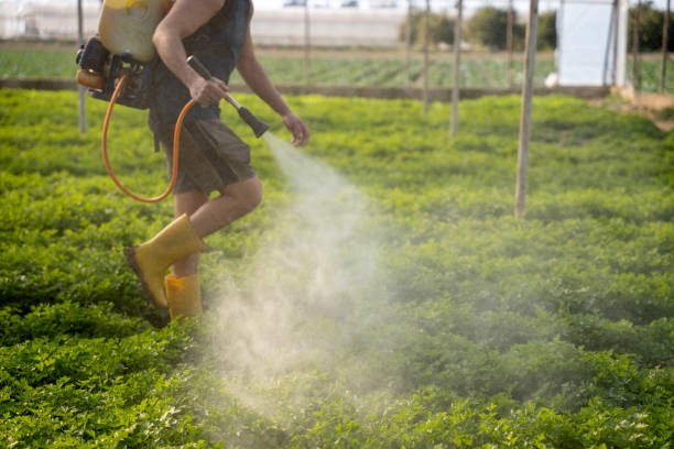 Best Pest Inspection Near Me  in Hacienda Heights, CA