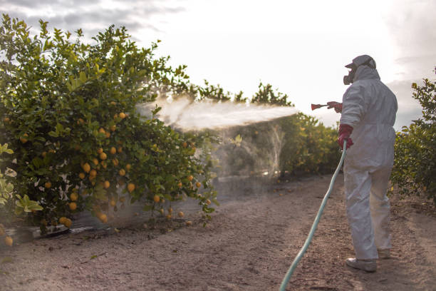 Best Bird Control  in Hacienda Heights, CA