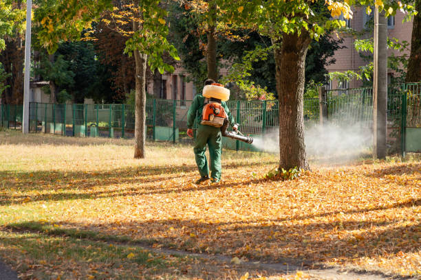 Hacienda Heights, CA Pest Control Company